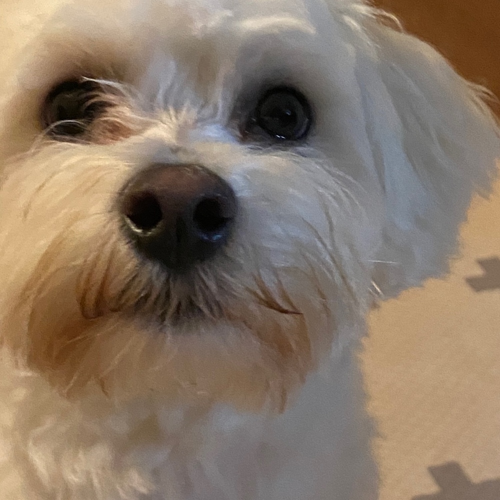 Meet your Posher, 쥬비 jiwoo